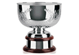 silver pewter nickel trophies plates cups salvers tankards trophies in Hereford